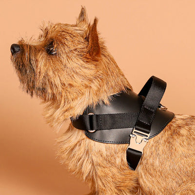 Saddle Harness : Black