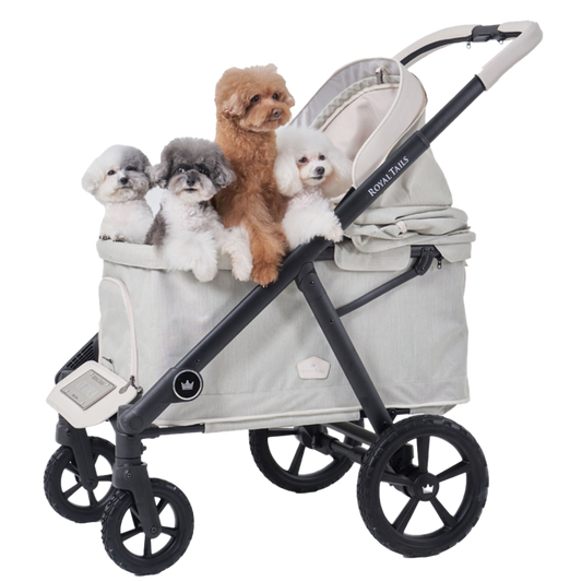 Victoria Wagon by ROYAL TAILS